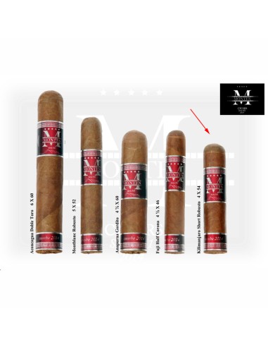 Kilimanjaro Short Robusto