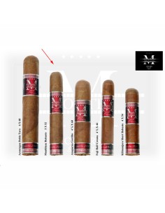 Montblanc Robusto 2